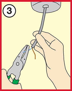 BULB-3.jpg BULB-3.jpg