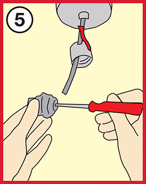 BULB-5.jpg BULB-5.jpg