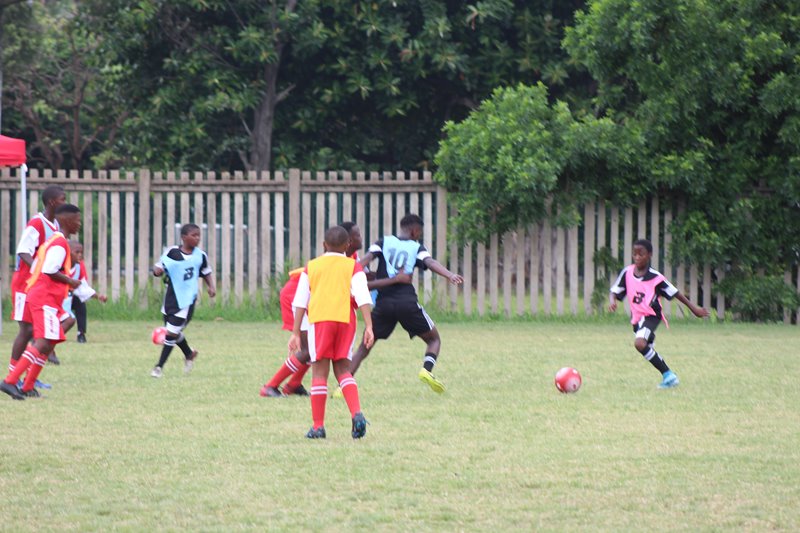 IMG_6598.JPG IMG_6598.JPG