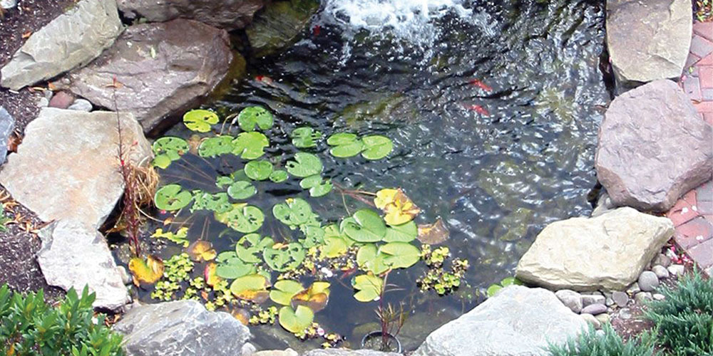 Building a Garden Pond