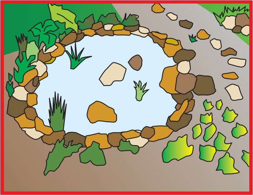 POND-7.jpg