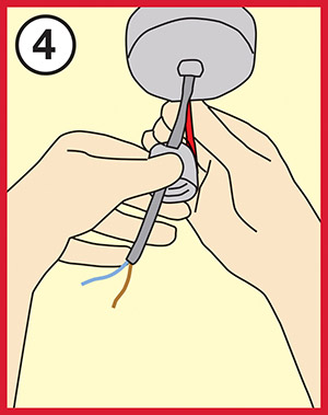 BULB-4.jpg BULB-4.jpg