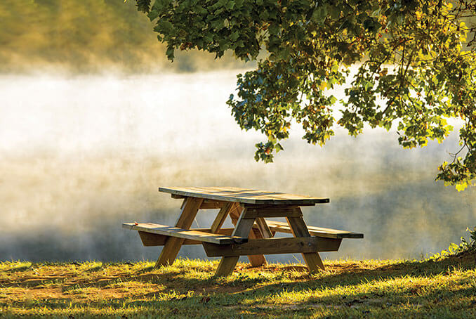 Build your own Picnic Table