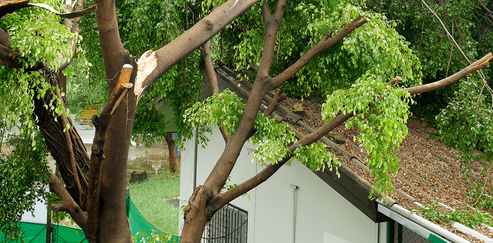 image2-(2).png image2-(2).png